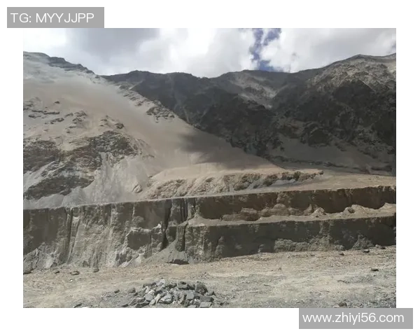 深度探讨张秀英在英雄联盟中的成长与挑战之路