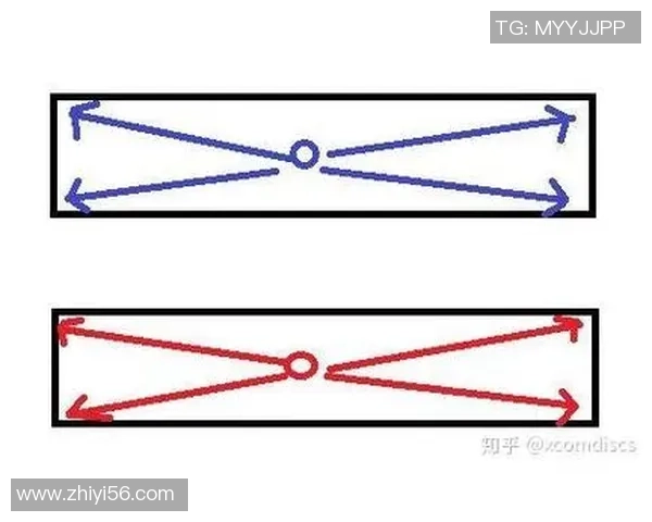 武汉飞盘队区域防守分析与战术得失探讨