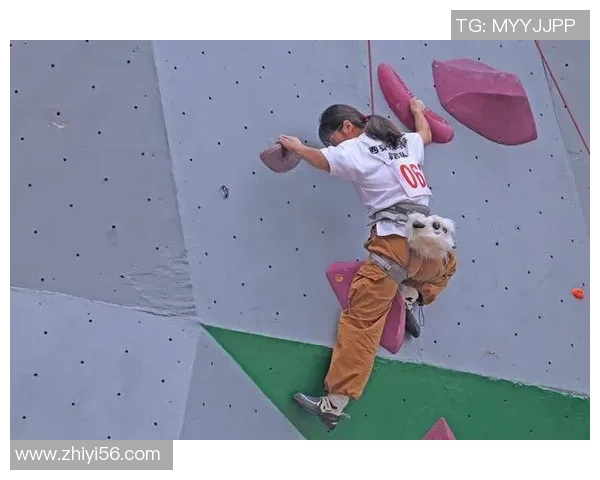 西安攀岩队比赛经验引发热议与争议的背后故事解析 西安攀岩队比赛经验引发热议与争议的背后故事解析